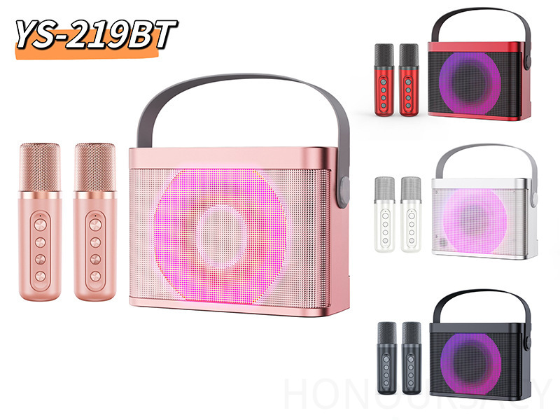 Karaoke Machine Portable With 2 Mic - HIFI Stereo Bluetooth Karaoke Machine With