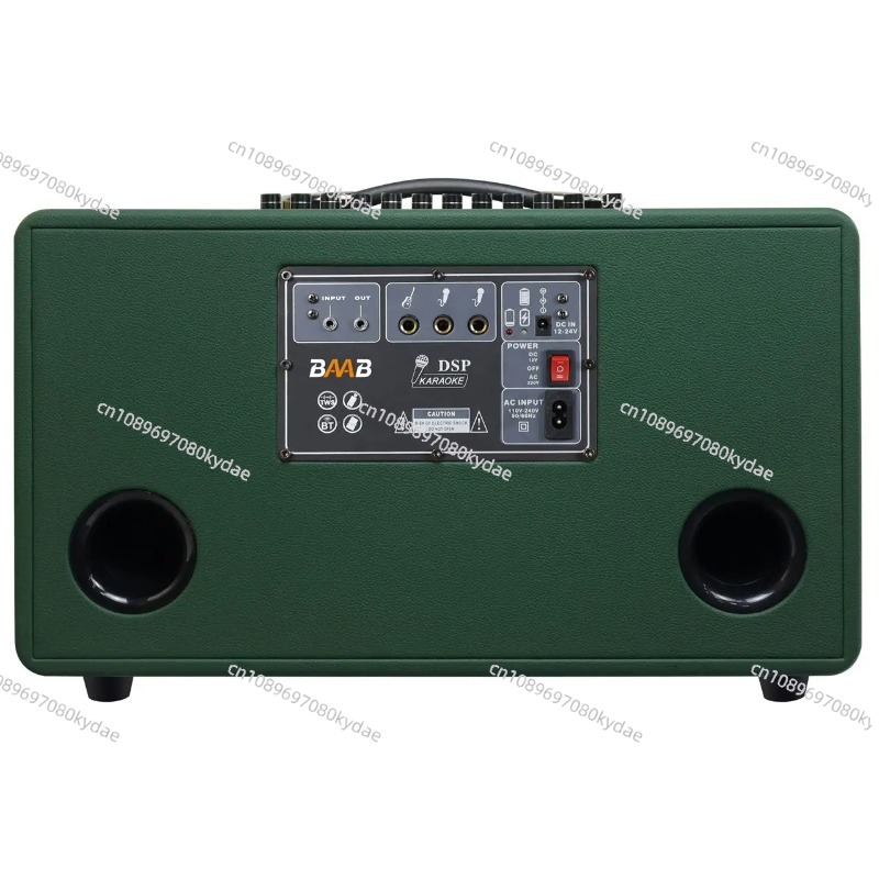 Professional 8-Inch HIFI Bass  - огляд і ціна Karaoke Speaker System 100W Rgb