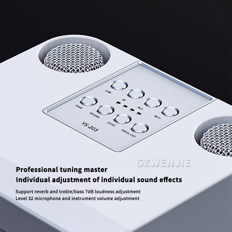 Portable Dual Microphone Karao - огляд і ціна Karaoke Machine Portable With 2 Mic