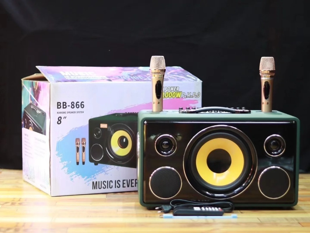 Professional 8-Inch HIFI Bass  - огляд і ціна Karaoke Speaker System 100W Rgb