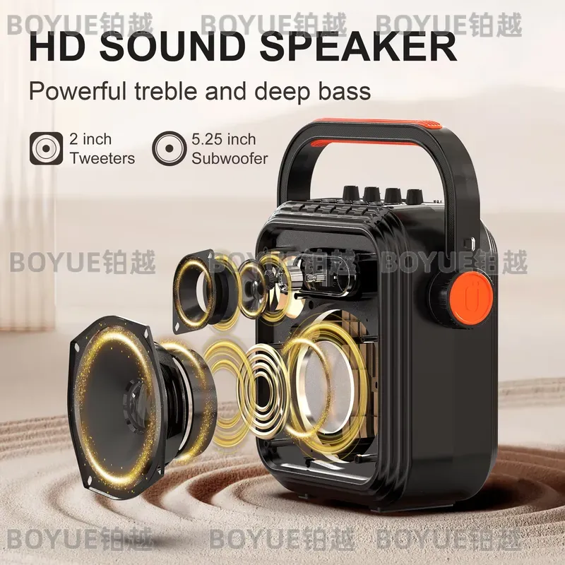 Portable Karaoke Machine with  - огляд і ціна Karaoke Machine Portable With 2 Mic